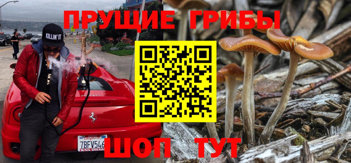 Псилоцибиновые грибы мицелий Рыбинск