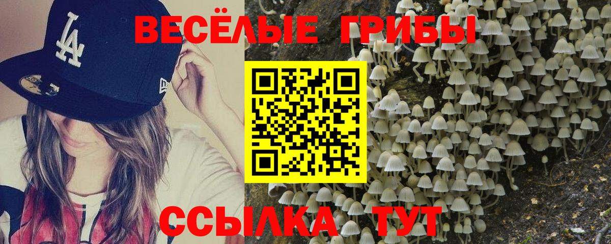 Галлюциногенные грибы мицелий  Вход с VPN  Псилоцибиновые грибы Magic Shrooms  Рыбинск 